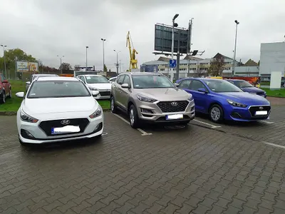 Platinum Rent wypożyczalnia samochodów Szczecin